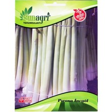 Sunagri İnegöl Pırasa Tohumu - Kalın ve Verimli Kışlık Sebze Tohumu