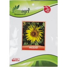 Sunagri Ayçiçeği Tohum