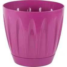 Serinova Papatya Tabaklı Saksı 0.7 Lt