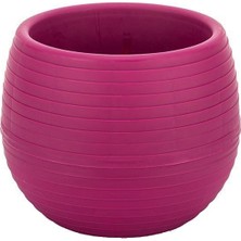 Serinova Elvan Kaktüs Saksısı 1.3 Lt – Orta Boy Sukulent ve Kaktüs Aranjman Saksısı