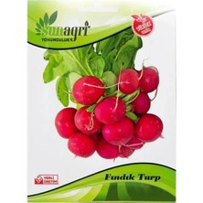 Sunagri Fındık Turp Tohumu - Çıtır Kırmızı Turp Tohumu Bahçe ve Balkon İçin