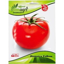 Sunagri Domates Falcon Tohumu