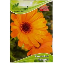 Sunagri Portakal Nergisi Tohumu