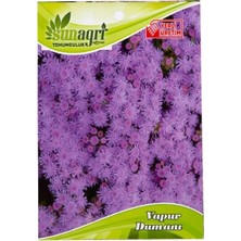 Sunagri Vapur Dumanı Çiçek Tohumu – Mavi Renkli Dekoratif Vapur Dumanı Tohumu