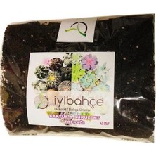 Iyibahçe Kaktüs - Succulent Toprak 1 Lt