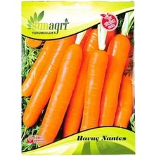 Sunagri Havuç Tohumu