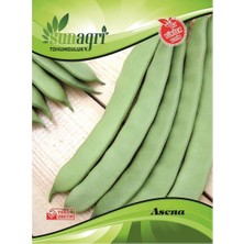 Sunagri Asena Fasulye Tohumu