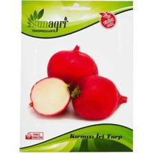 Sunagri Kırmızı İri Turp Tohumu – Sofralık Büyük Boy Kırmızı Turp Tohumu