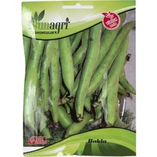 Sunagri Bakla Tohumu – Dolgun Meyveli Sakız Bakla Tohumu