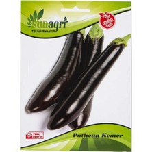 Sunagri Patlıcan Kemer Tohumu – Uzun ve Parlak Siyah Kemer Patlıcan Tohumu