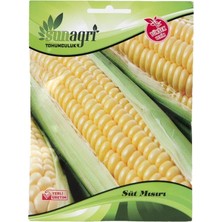 Sunagri Mısır Tohumu
