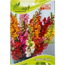 Sunagri Aslan Ağzı Çiçek Tohumu – Karışık Renkli Aslan Ağzı (Antirrhinum) Tohumu