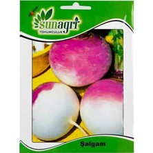 Sunagri Şalgam Tohumu