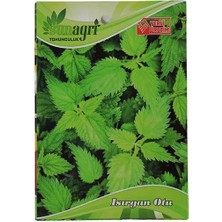 Sunagri Isırgan Tohumu