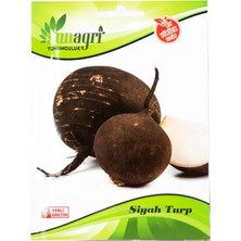 Sunagri Siyah Turp Tohumu – Keskin Aromalı İri Siyah Turp Tohumu