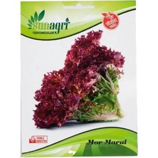 Sunagri Mor Marul Tohumu