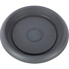 Serinova Villa Saksı Tabağı No 3