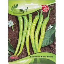Sunagri Biber Sarı Sivri Tohum
