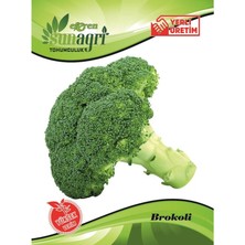 Sunagri Brokoli Tohumu