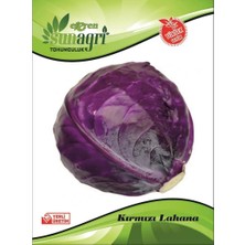 Sunagri Kırmızı Lahana Tohumu