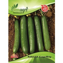 Sunagri Çengelköy Salatalık Tohumu – Çıtır Kahvaltılık Çengelköy Hıyar Tohumu