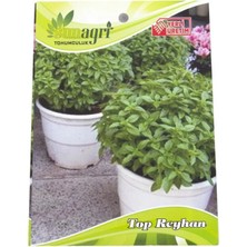 Sunagri Top Reyhan Tohumu – Dekoratif ve Aromatik Top Reyhan Tohumu