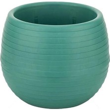 Serinova Elvan Kaktüs Saksısı 0.13 Lt – Mikro Boy Mini Kaktüs ve Sukulent Saksısı