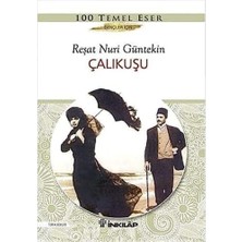 Skygo Çalıkuşu: 100 Temel Eser Gençler Için