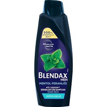 Nuvvo Blendax Erkekler Için Mentol Ferahlığı Nane Özlü Şampuan, 500 ml