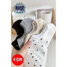 Hitit Socks Kadın 4 Çift Nokta Desenli Yüksek Pamuklu Görünmez Babet Çorap Çok Renkli