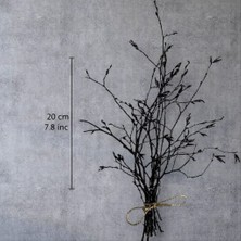 Kumkum67 Kumkum Siyah Kuru Gürgen Dalı Dekoru (20 Cm)-Doğal ve Estetik Bitki Parçası