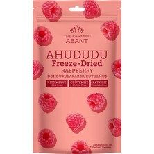 The Farm Of Abant Dondurularak Kurutulmuş Frambuaz 15 gr