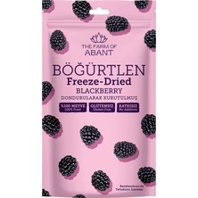 The Farm Of Abant Dondurularak Kurutulmuş Böğürtlen 15 gr