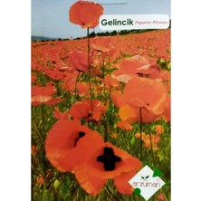 Arzuman Gelincik Tohumu Papaver Rhoeas 50 Adet