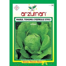 Arzuman Yedikule 5701 Marul Tohumu 10 gr