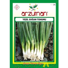 Arzuman Beyaz Bilek Yeşil Soğan Tohumu 5 gr