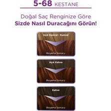 6 Adet Palette Göz Alıcı Renkler 5-68 Kestane Saç Boyası 110 ml