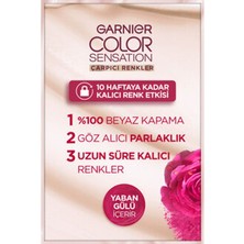 6 Adet Garnier Çarpıcı Renkler 5.62 Parlak Lal Kızılı