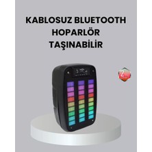 Asiltech Kablosuz Bluetooth Müzik Cihazı – 2 Saat Batarya Süresi, Şık ve Taşınabilir