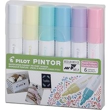 Uravas Store Pintor--6 Color Set (Pastel