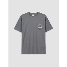 LC Waikiki Lcw Kids Gri Bisiklet Yaka Baskılı Erkek Çocuk Tişört