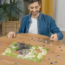 500P Puzzle Kedi Foto, Yapboz