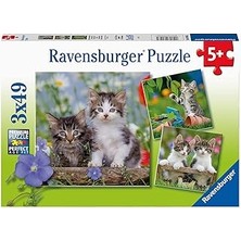 Uravas Store Ravensburger 3 x 49 Parça Puzzle Tiger Babies (80465)