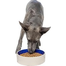 Uravas Store Ethical Kase Seramikten, 9,5 Inç, Beyaz/mavi