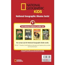 Örümcekler: National Geographic Kids - Seviye 1 (Kapak Değişebilir)