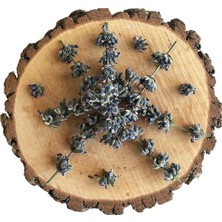 Gourmeturk Lavanta Dökme - 1 kg