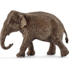 urfakent bilişim ve medya danışmanlık Dişi Asya Fili