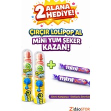 Emrah Gültekin 2 Adet Cırcır Lolipop Oyuncak Şeker 2 Mini Yum Şeker Hediyeli Eğlenceli Çocuk Şekeri Seti