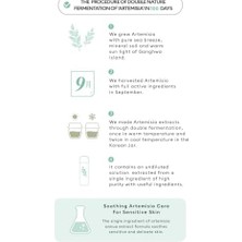 Hassas Ciltler Için Kızarıklık Karşıtı Bakım Sunan Konsantre Ampul Artemisia Calming Ampouler 75ML