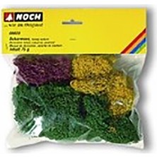 Noch Liken Sonbahar Karişimi Doğal Renkler